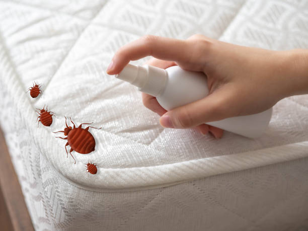 Best Pest Control for Hotels  in Marietta, OK